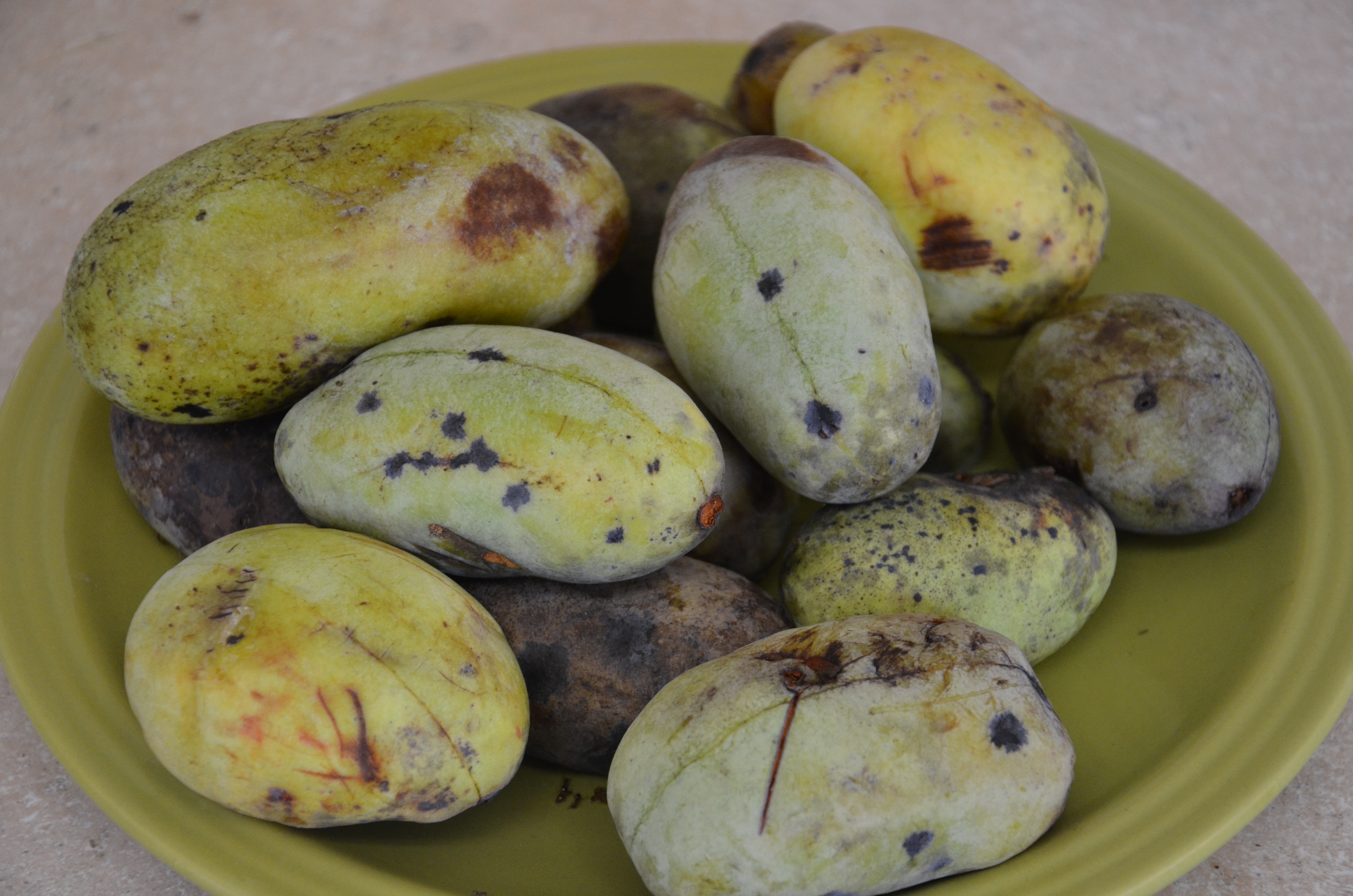 Paw Paw - DoctorSchar.com